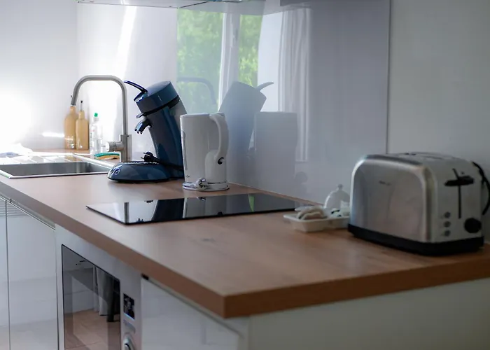 Le Bazacle - Sublime Logement En Hypercentre